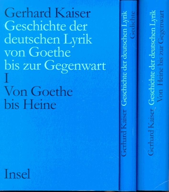 Geschichte der deutschen Lyrik von Goethe bis zur Gegenwart. Ein Grundriss in Interpretationen