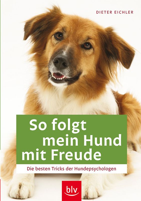 So folgt mein Hund mit Freude
