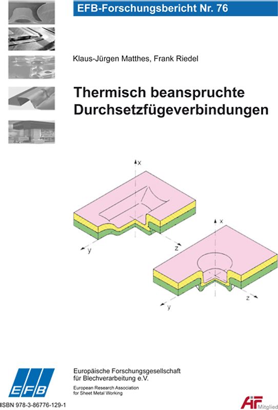Thermisch beanspruchte Durchsetzfügeverbindungen