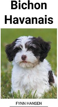 Bichon Havanais