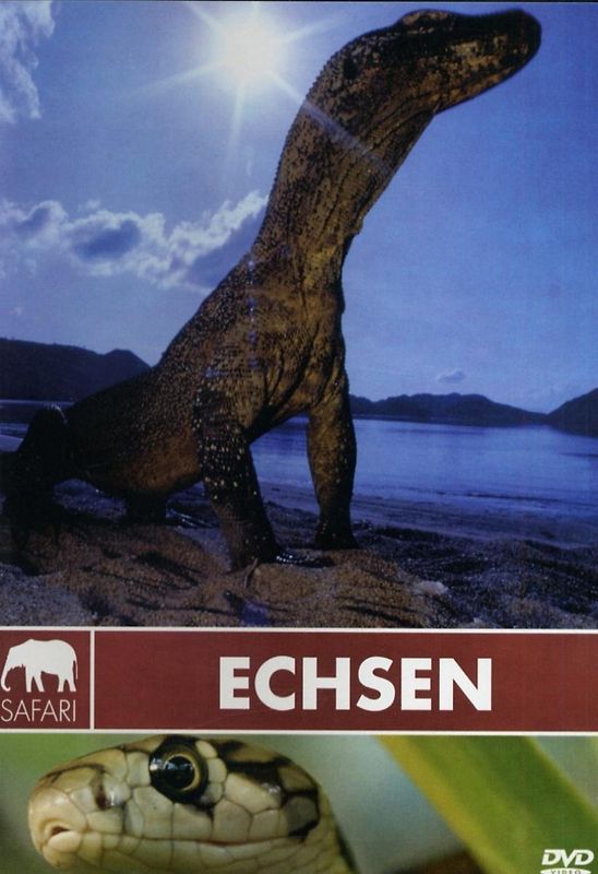 Safari: Echsen DVD