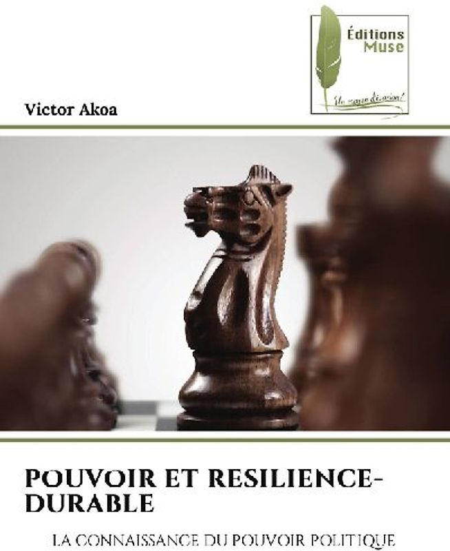 POUVOIR ET RESILIENCE-DURABLE