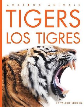 Tigers / Los Tigres