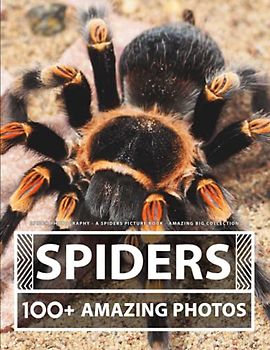 Spider Photography - A Spiders Picture Book - Amazing Big Collection: 100+ Amazing Pictures of Spiders in this Beautiful Spider photo book