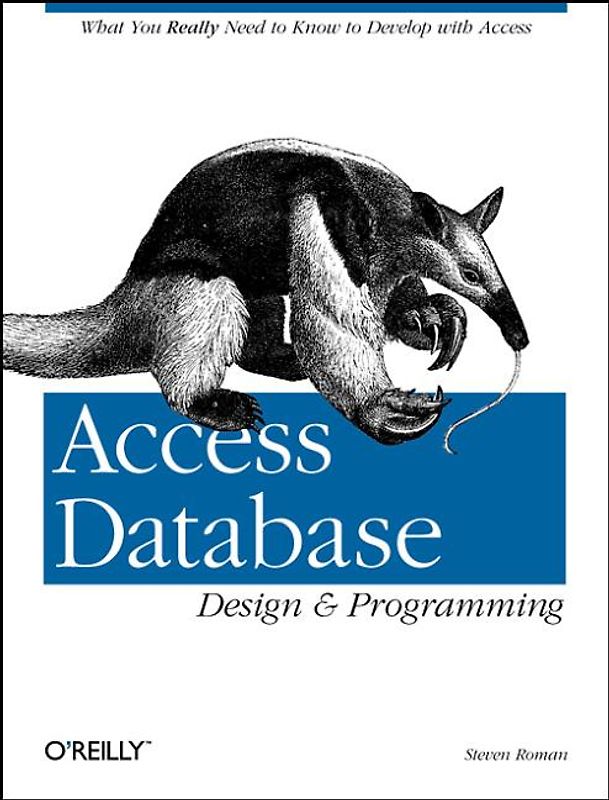 Access Database Design & Programming