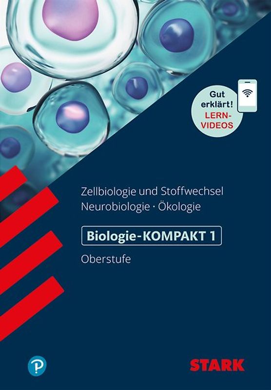 STARK Biologie 1 Oberstufe - KOMPAKT - Zellbiologie/Stoffwechsel, Neurobiologie, Ökologie