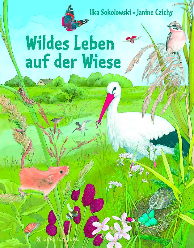 Wildes Leben auf der Wiese