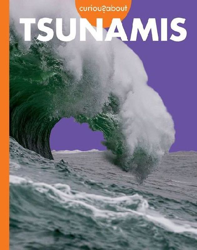 Curious about Tsunamis