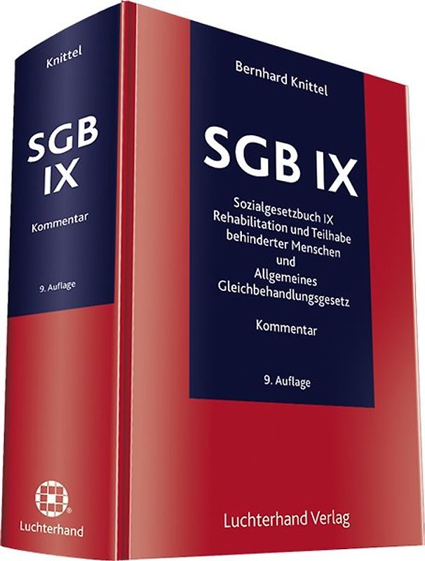 SGB IX