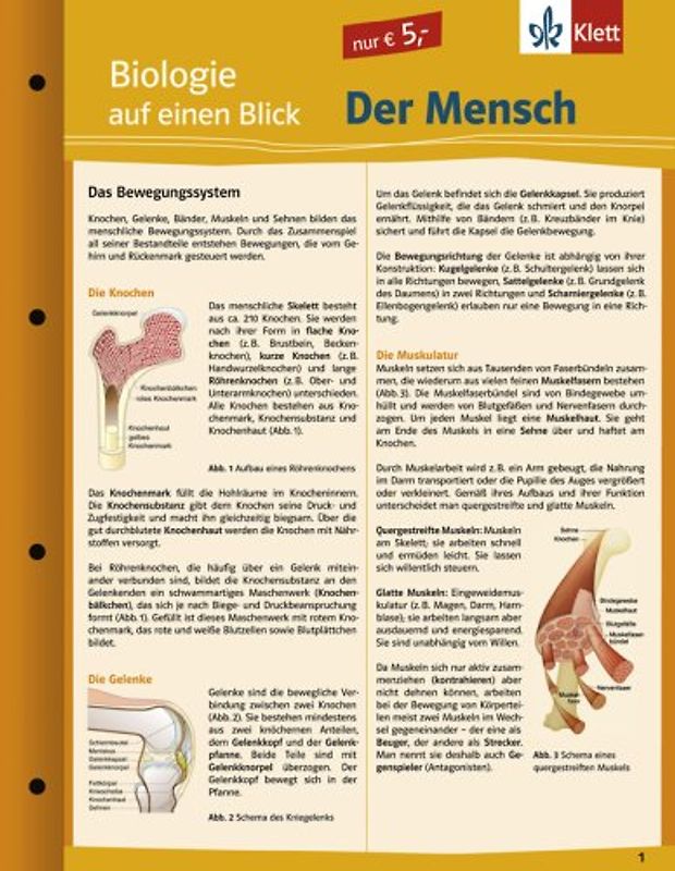 Biologie auf einen Blick