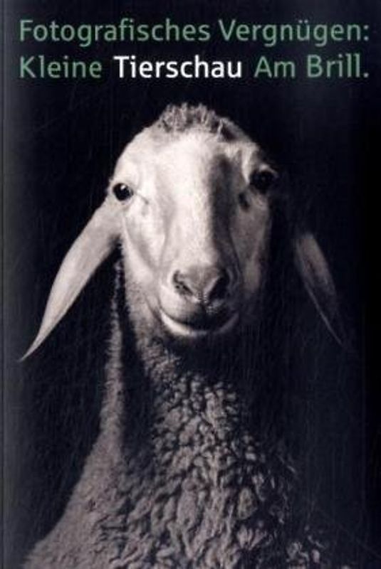 Fotografisches Vergnügen: Kleine Tierschau am Brill