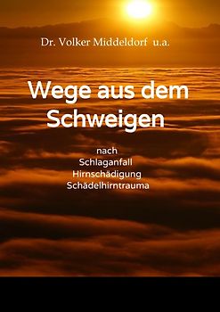 Wege aus dem Schweigen - nach Schlaganfall, Hirnschädigung, Schädelhirntrauma
