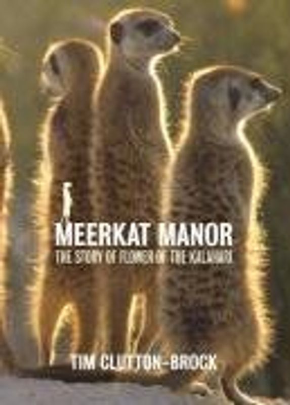 Meerkat Manor: Flower of the Kalahari - Clutton-Brock, Tim