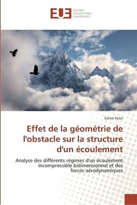 Effet de la géométrie de l'obstacle sur la structure d'un écoulement