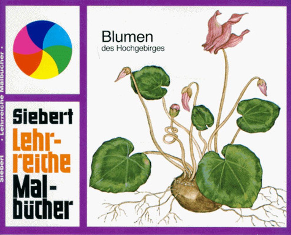 Blumen des Hochgebirges