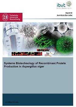 Systems Biotechnology of Recombinant Protein Production in Aspergillus niger