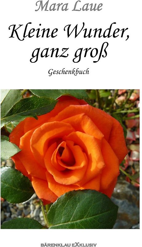 Kleine Wunder, ganz groß – Ein Geschenkbuch