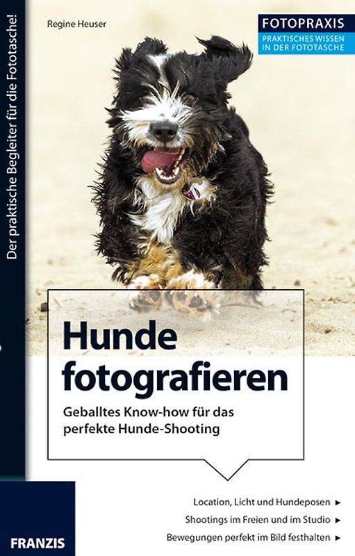 Foto Praxis Hunde fotografieren