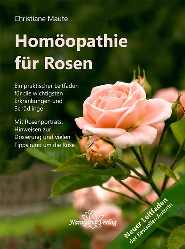 Homöopathie für Rosen