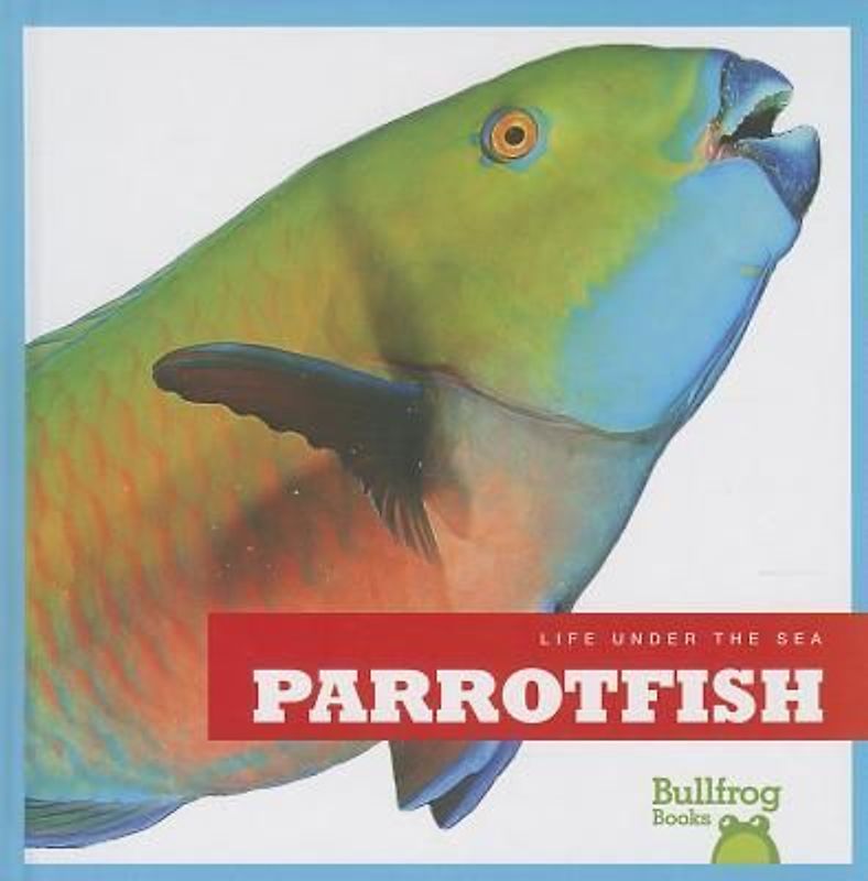 Parrotfish