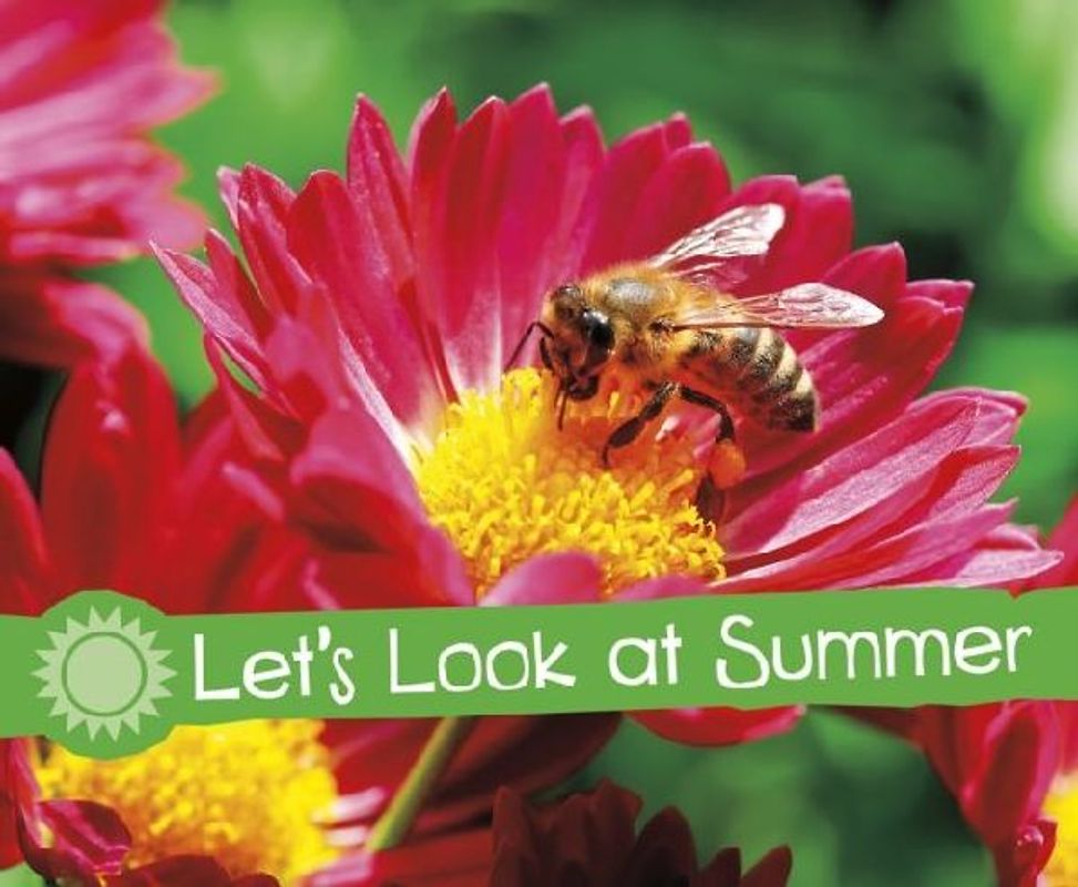 Let's Look at Summer