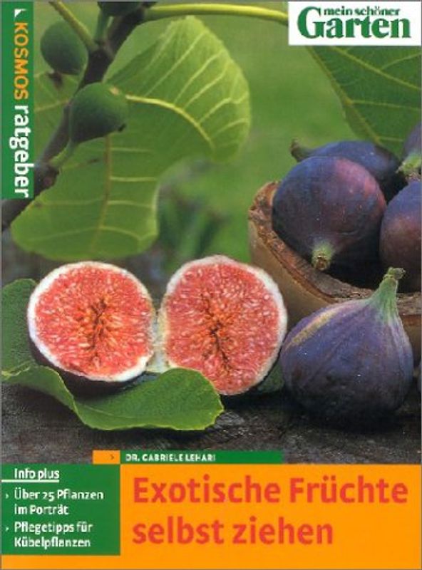 Exotische Früchte selber ziehen