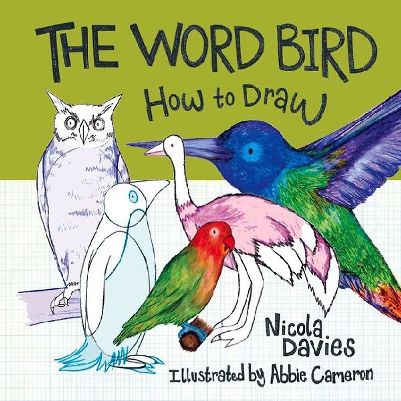 How to Draw: The Word Bird