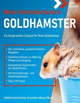 Goldhamster