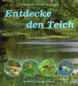 Entdecke den Teich
