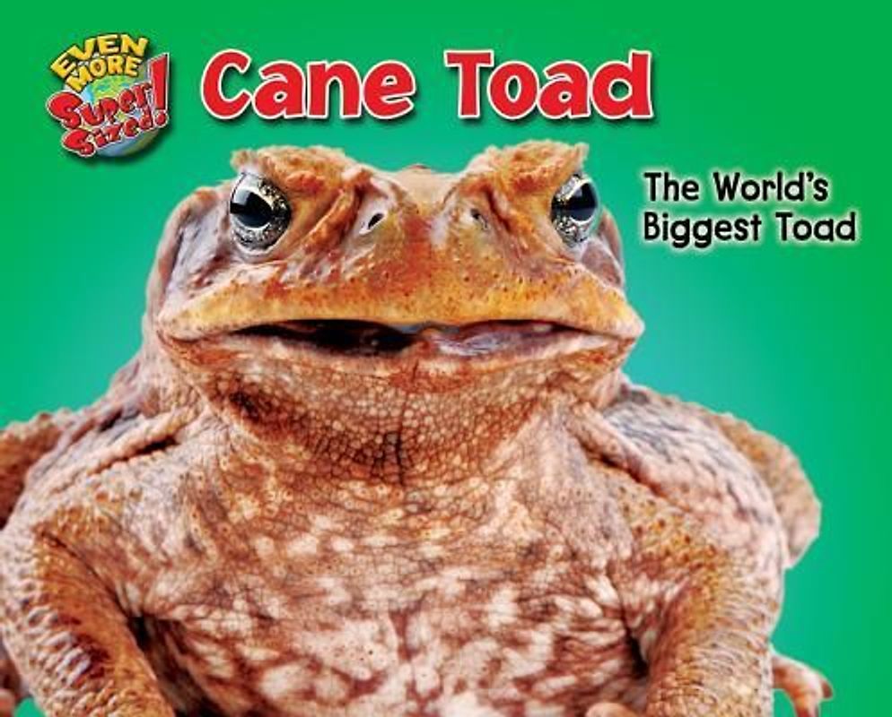 Cane Toad