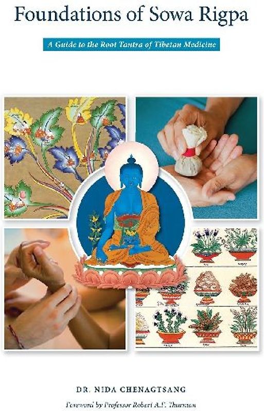 Foundations of Sowa Rigpa