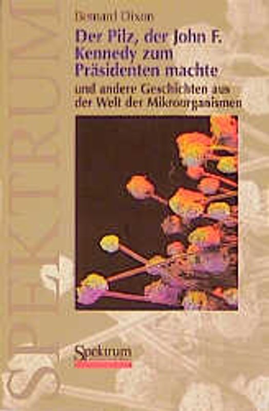 Der Pilz, der John F. Kennedy zum Präsidenten machte