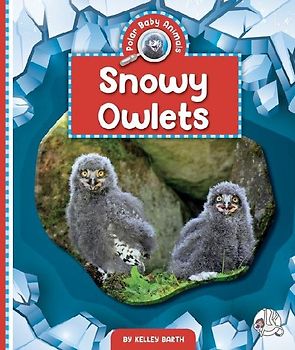 Snowy Owlets