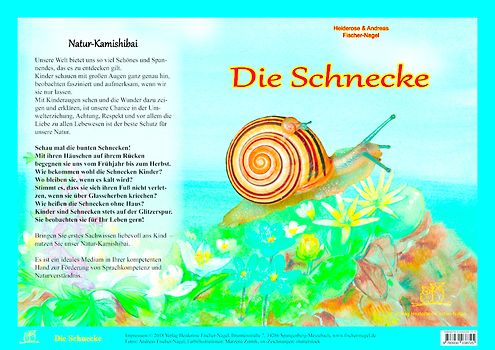 Die Schnecke - Natur-Kamishibai