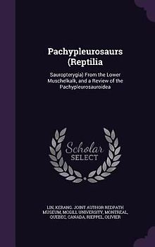 Pachypleurosaurs (Reptilia: Sauropterygia) From the Lower Muschelkalk, and a Review of the Pachypleurosauroidea
