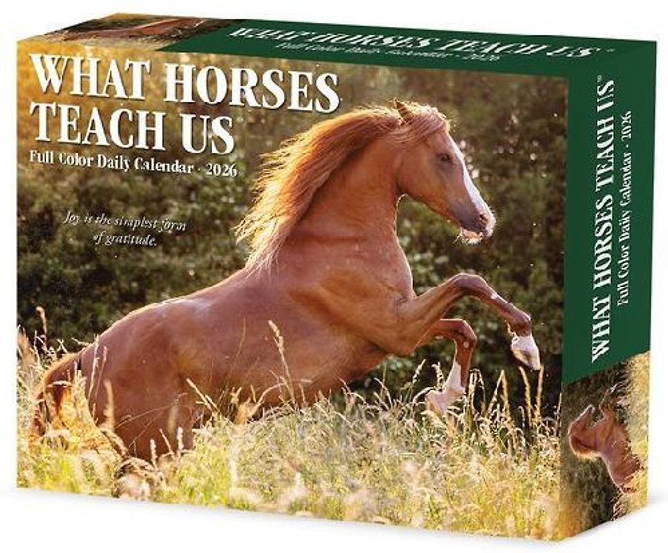 What Horses Teach Us 2026 5.4 X 6.2 Box Calendar
