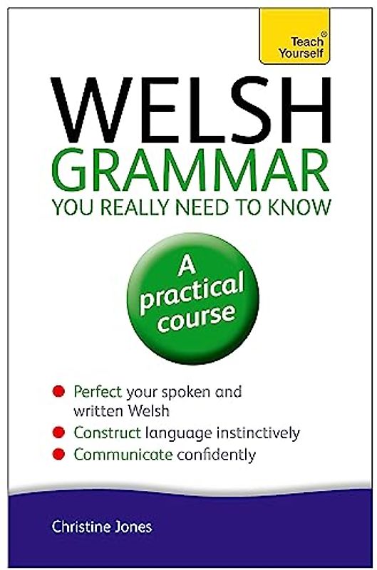 Welsh Grammar You Really Need to Know: Teach Yourself