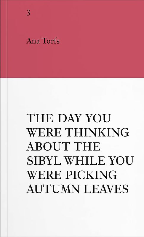 An Insert by Ana Torfs