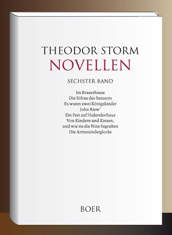 Novellen Band 6