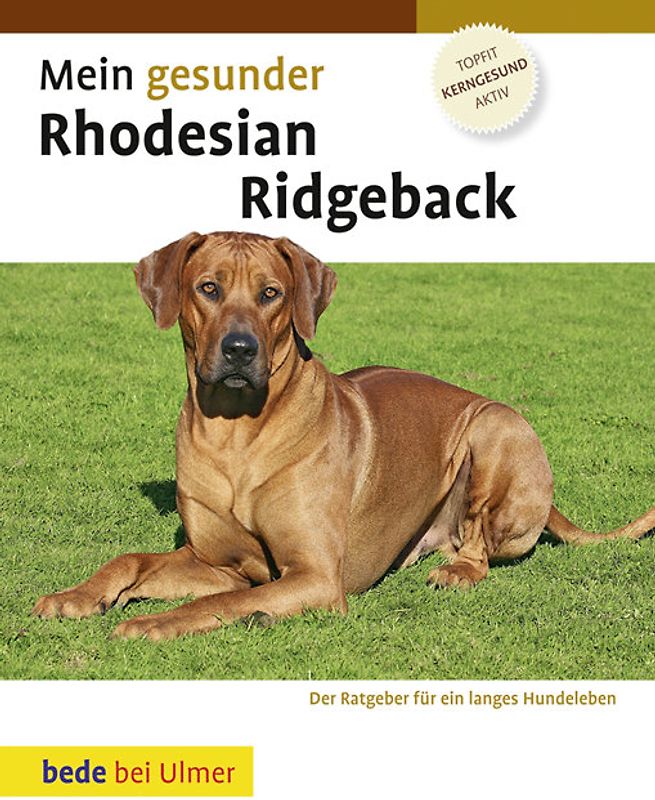 Mein gesunder Rhodesian Ridgeback