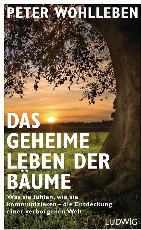 Das geheime Leben der Bäume
