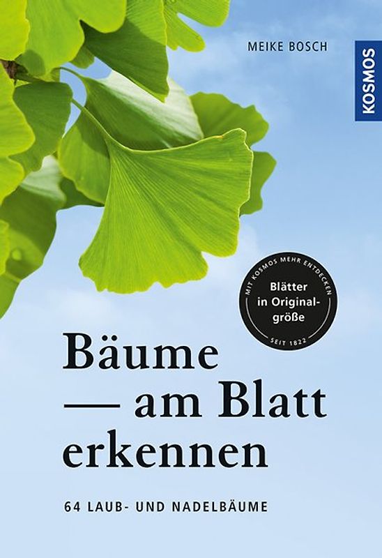 Bäume am Blatt erkennen