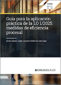 Guía para la aplicación práctica de la LO 1/2025: Medidas de eficiencia procesal