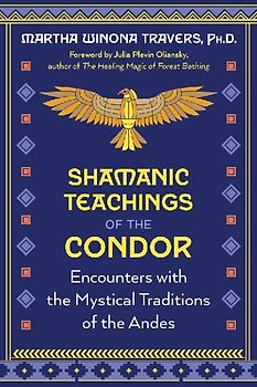 Shamanic Teachings of the Condor