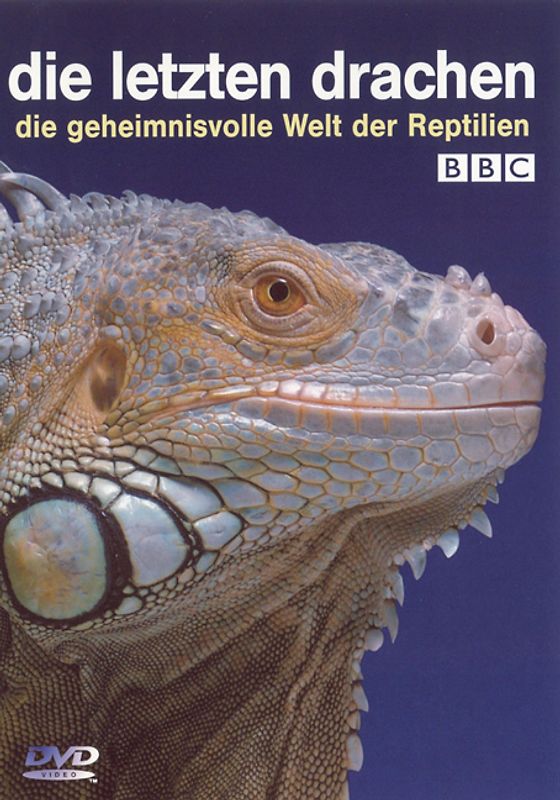 Die letzten Drachen DVD