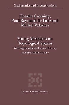 Young Measures on Topological Spaces