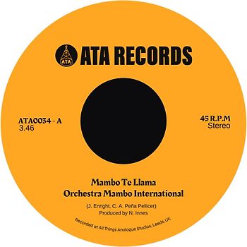 Mambo Te Llama