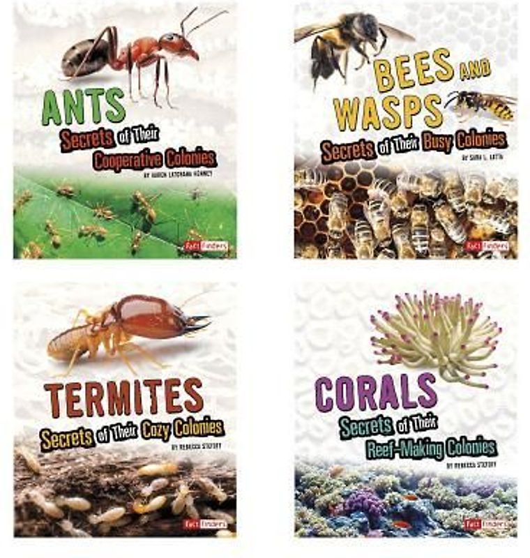 Amazing Animal Colonies