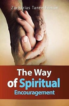 The Way of Spiritual Encouragement (The Christian Way, Band 11)