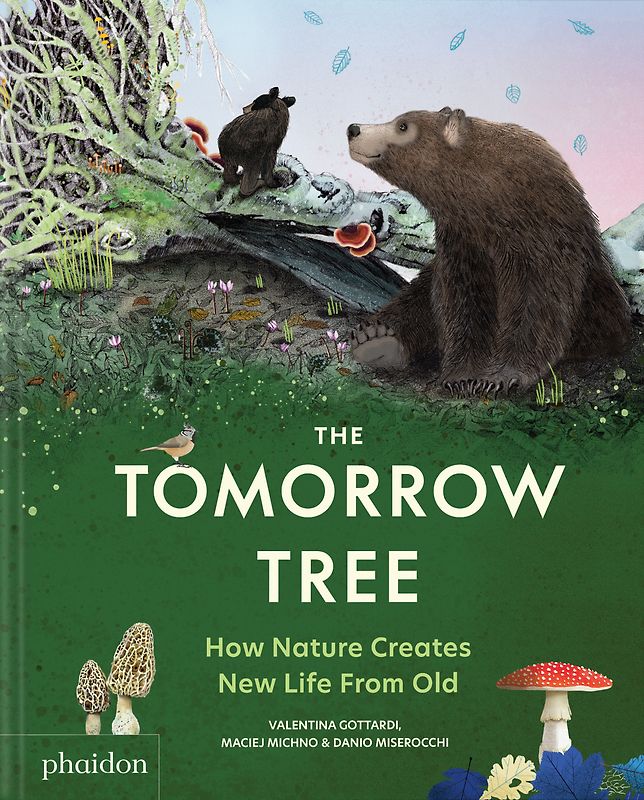 The Tomorrow Tree: How Nature Creates New Life From Old (2025)